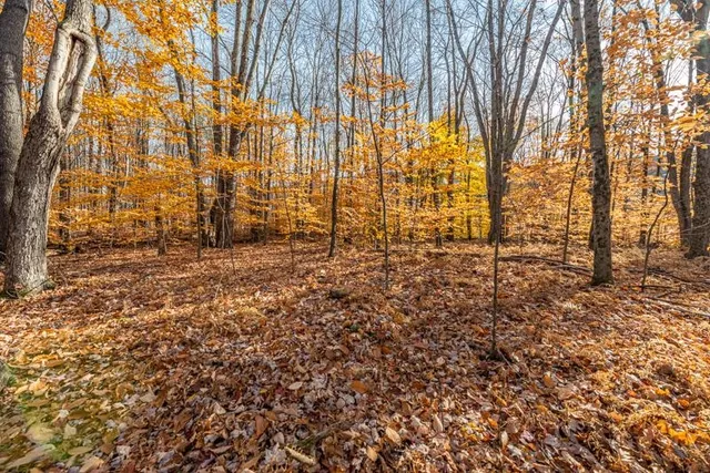 $215,000 | Oa East Manchester Road, Manchester Center, VT 05255