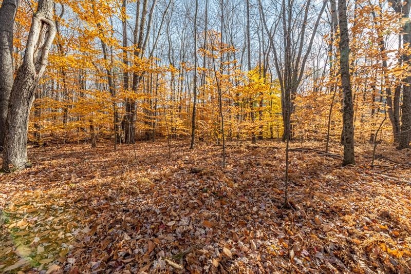 Oa East Manchester Road Manchester Center, VT 05255 - Photo 6 of 20