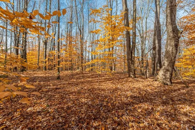 $215,000 | Oa East Manchester Road, Manchester Center, VT 05255