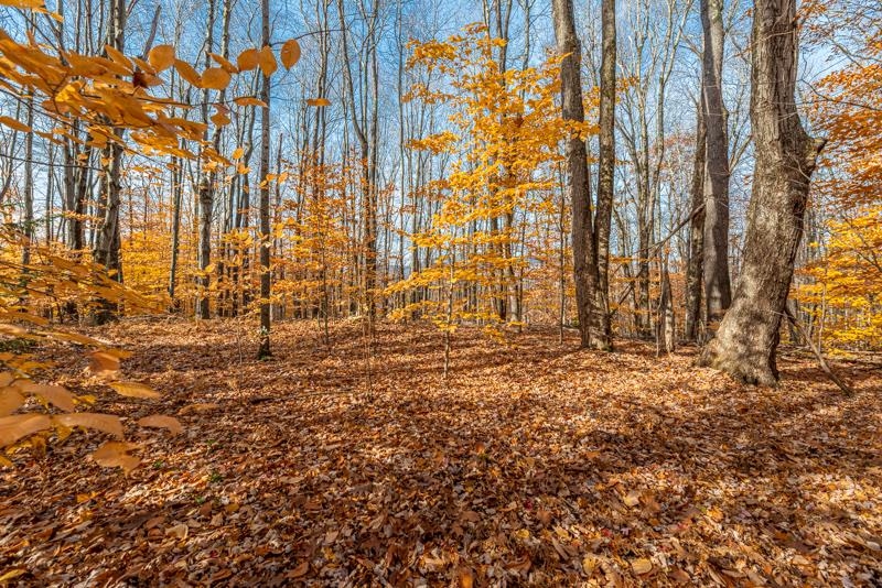 Oa East Manchester Road Manchester Center, VT 05255 - Photo 7 of 20