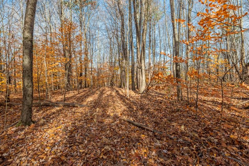 Oa East Manchester Road Manchester Center, VT 05255 - Photo 8 of 20