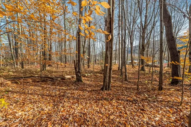 $215,000 | Oa East Manchester Road, Manchester Center, VT 05255