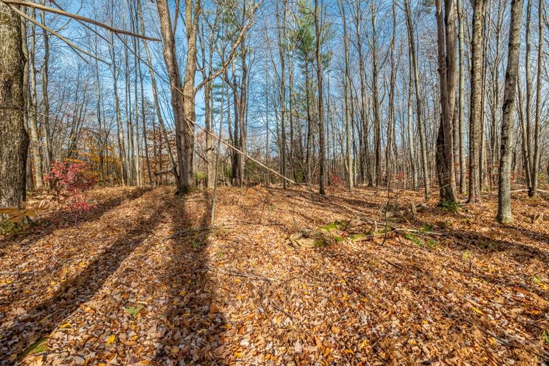Oa East Manchester Road Manchester Center, VT 05255 - Photo 10 of 20
