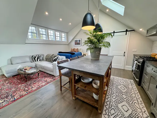 a living room with furniture and a potted plant