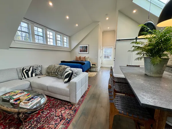 a living room with furniture and a potted plant