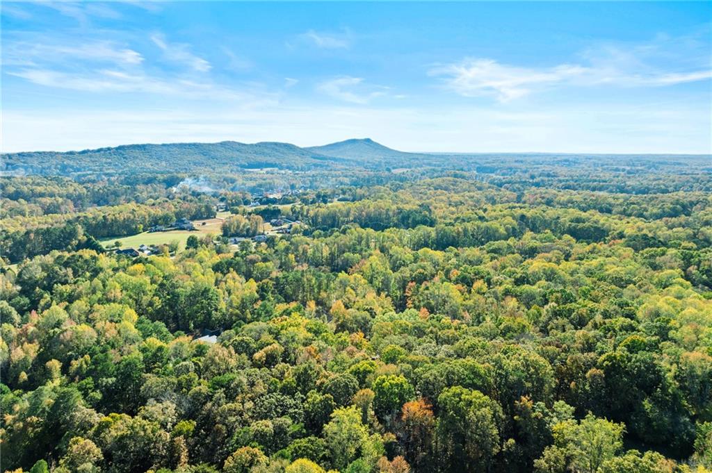 4230 Jonathan Lane Cumming, GA 30040 - Photo 54 of 57