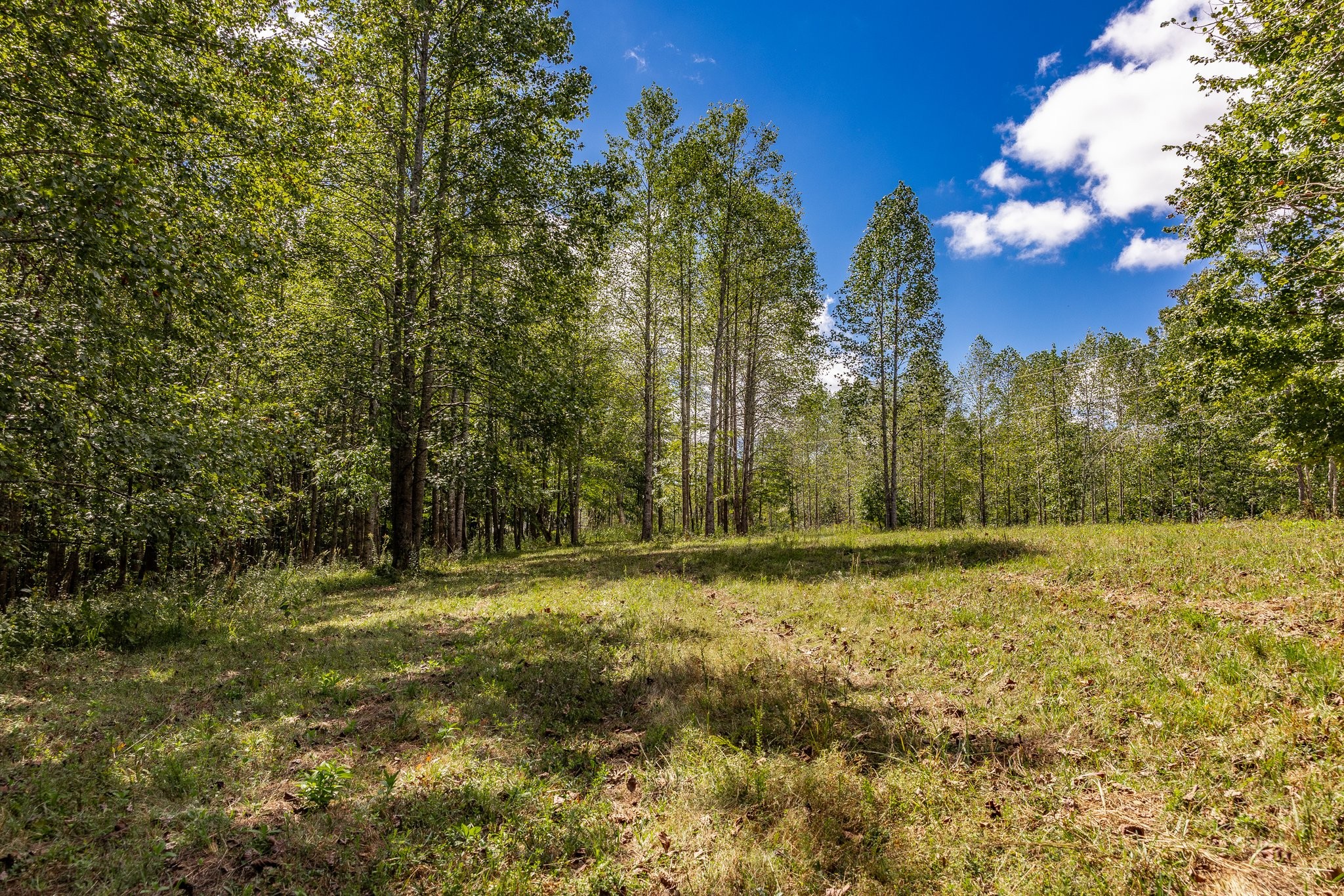 0 Keytown Road Gallatin, TN 37066 - Photo 51 of 57 Gallery Image 51