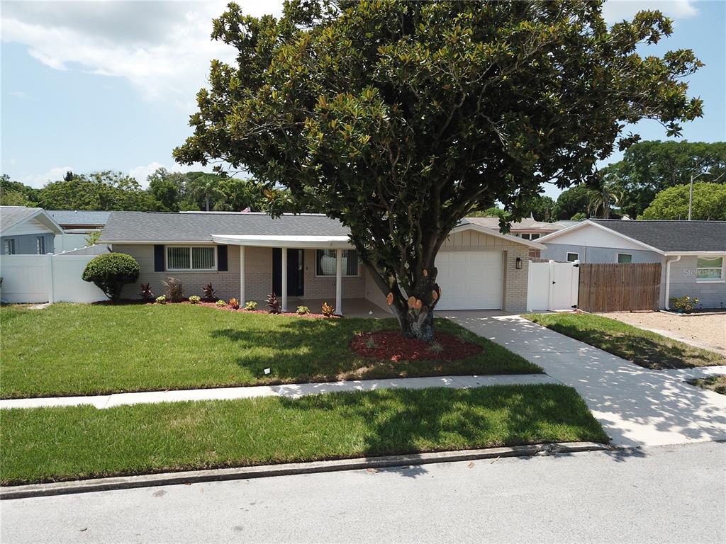 5752 Lanate Avenue New Port Richey, FL 34652 - Photo 5 of 33