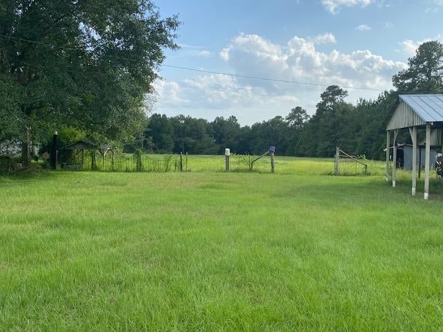 24289 Swamp Road Red Level, AL 36474 - Photo 15 of 20 Gallery Image 15