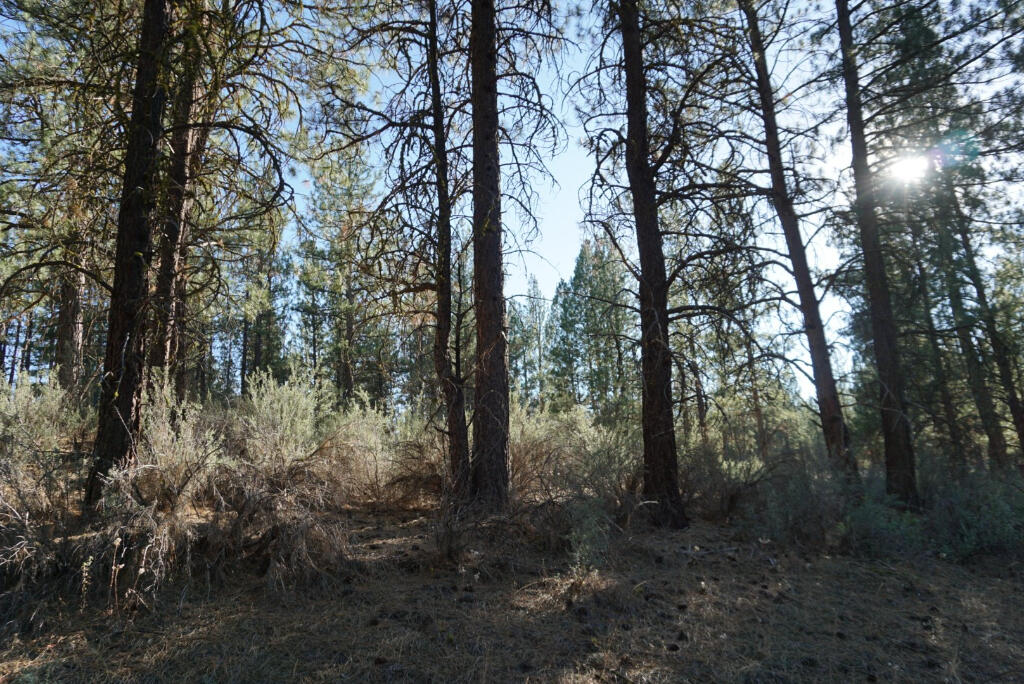 Elde Street Chiloquin, OR 97624 - Photo 19 of 22 18