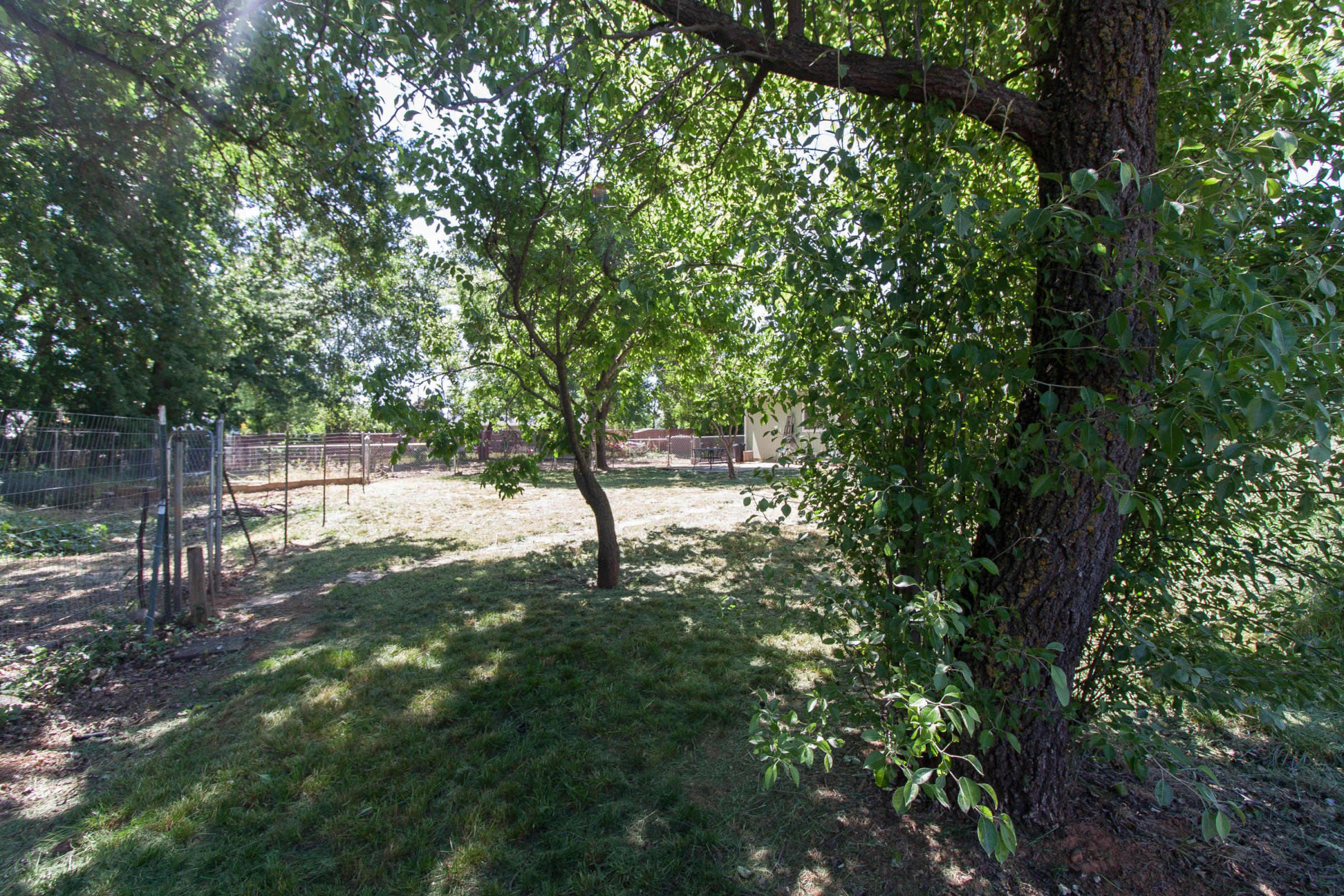 4801 Balls Ferry Road Anderson, CA 96007 - Photo 18 of 22 a backyard of a house with a tree