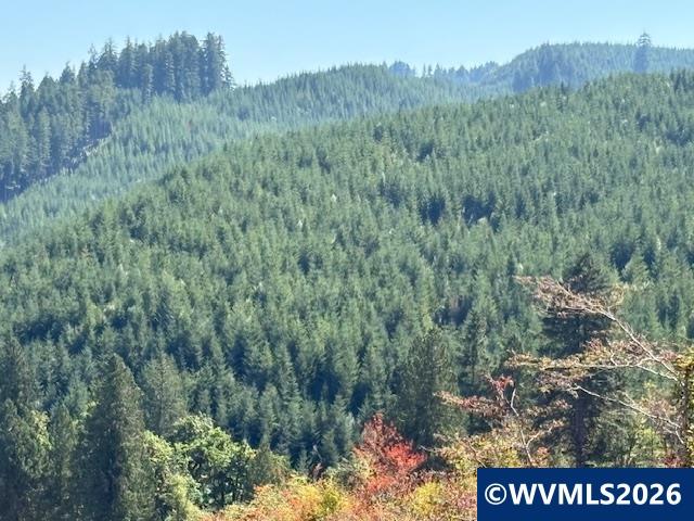 0 Van Horn Road Alsea, OR 97324 - Photo 6 of 16