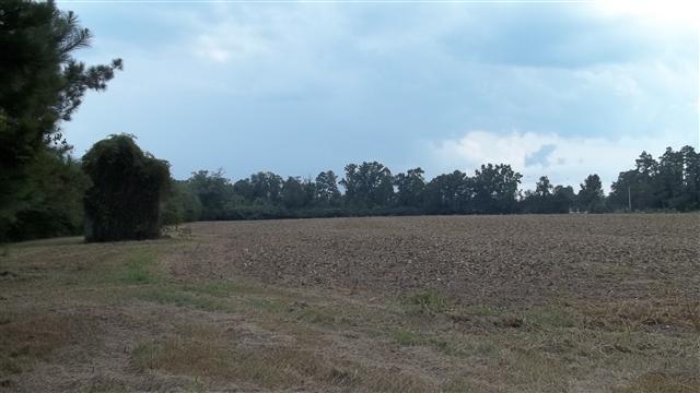 120 West County Line Road Hemingway, SC 29554 - Photo 3 of 3