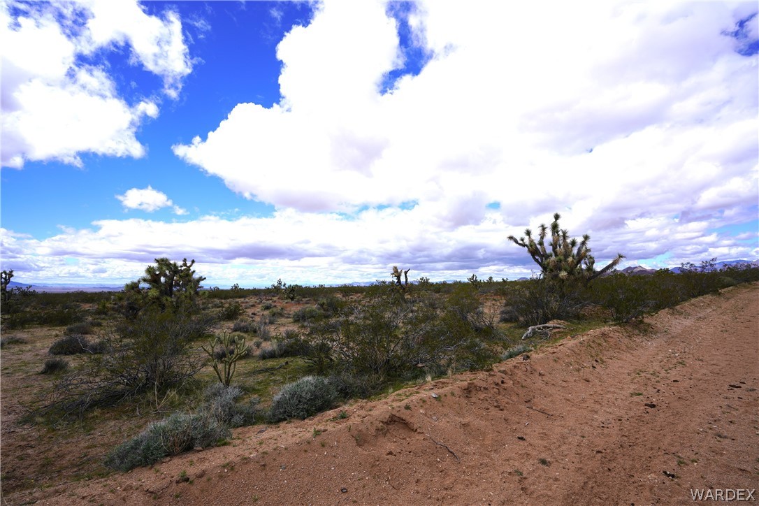 0 South Deadeye Road Yucca, AZ 86438 - Photo 4 of 6 Gallery Image 4