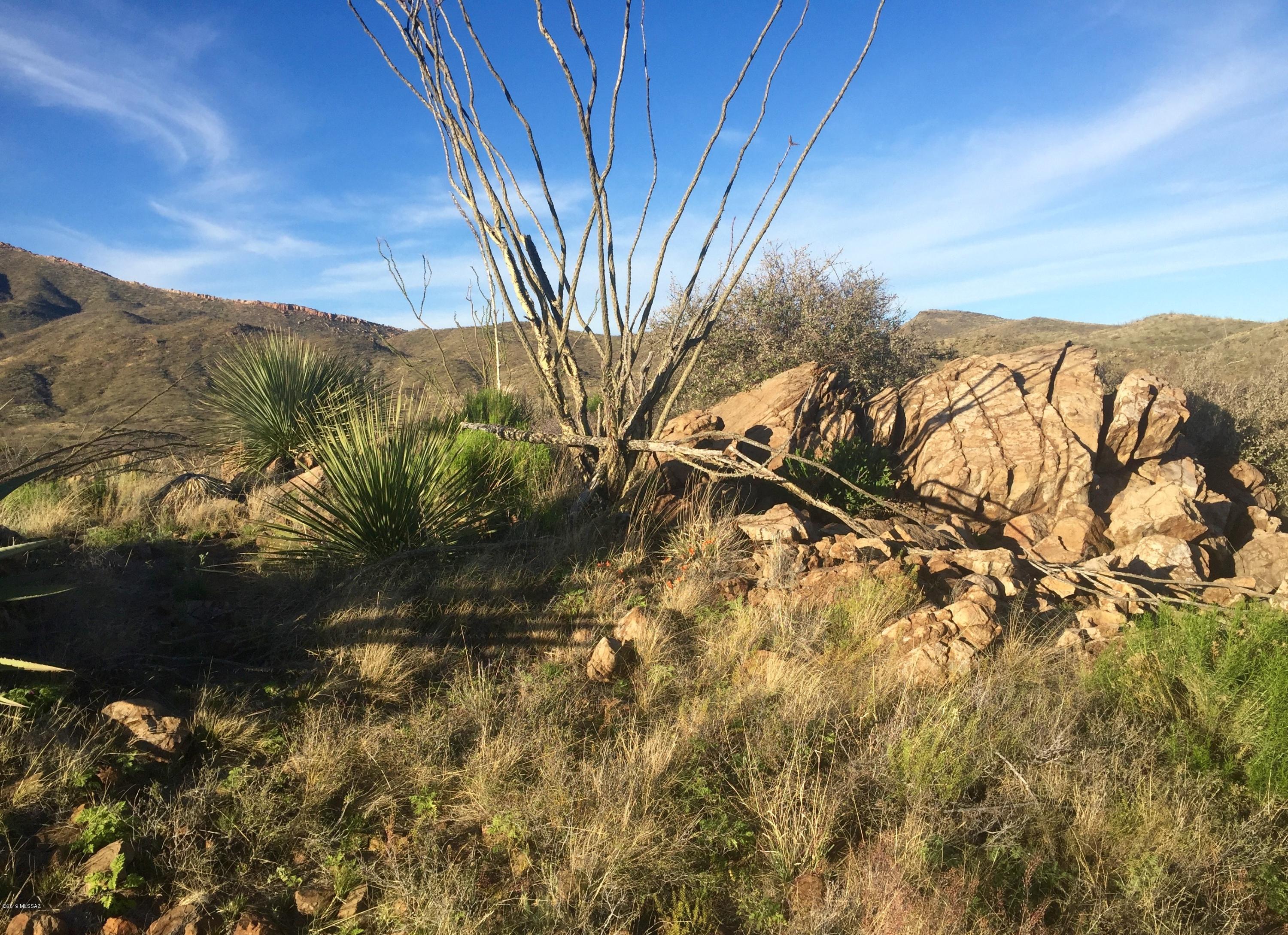7763 North Fawn Road Douglas, AZ 85607 - Photo 26 of 50 Gallery Image 26