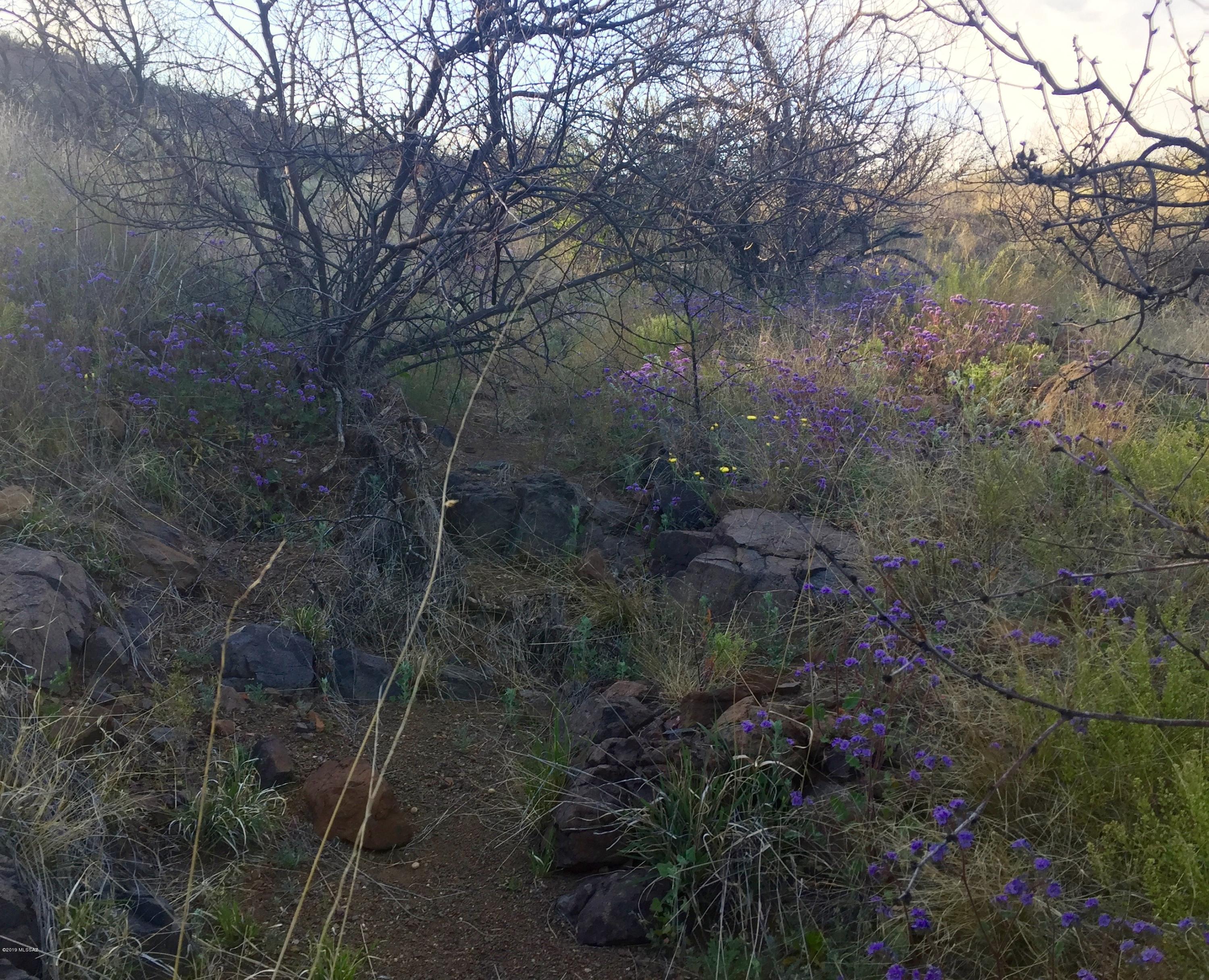 7763 North Fawn Road Douglas, AZ 85607 - Photo 29 of 50 Gallery Image 29