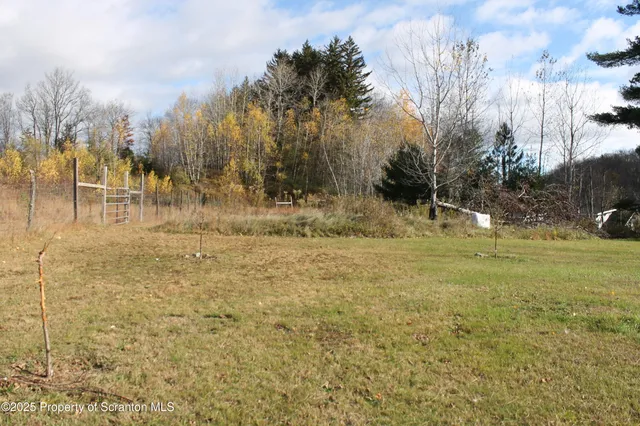 a view of a yard with plants and a bench