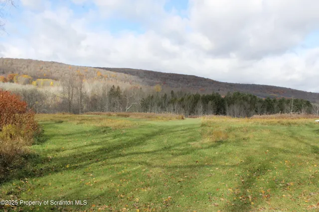 a view of a lush green field
