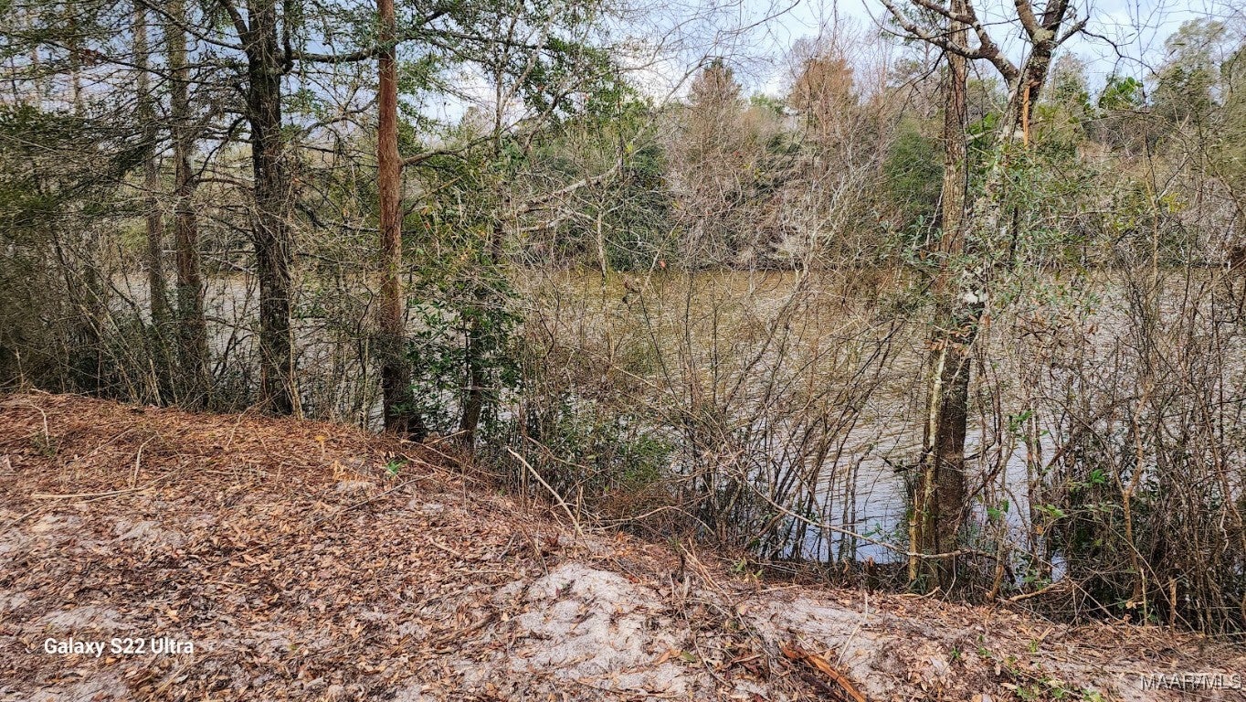 48 Harbor Road Andalusia, AL 36421 - Photo 3 of 5 Gallery Image 3