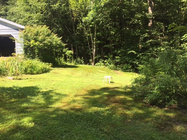 372 Canoe Brook Road Putney, VT 05346 - Photo 14 of 18 Gallery Image 14