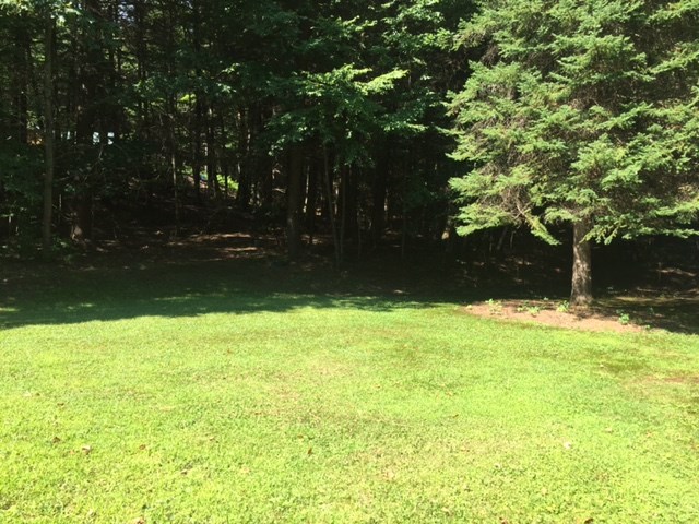 372 Canoe Brook Road Putney, VT 05346 - Photo 16 of 18 Gallery Image 16