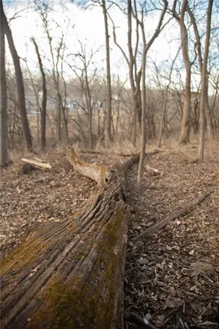 $150,000 | 705 Northeast Noeleen Lane, Lee's Summit, MO 64086