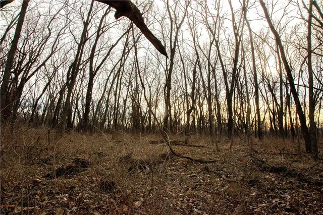 $150,000 | 705 Northeast Noeleen Lane, Lee's Summit, MO 64086