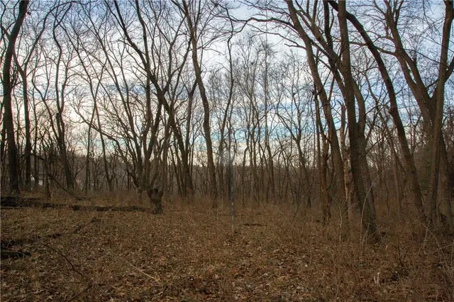 $150,000 | 705 Northeast Noeleen Lane, Lee's Summit, MO 64086