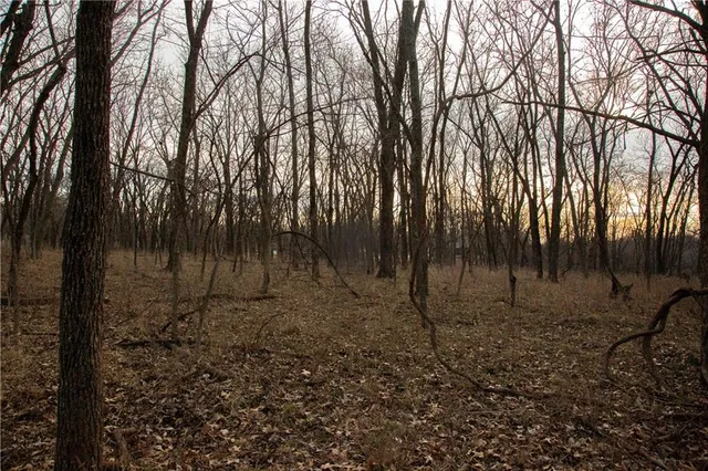 $150,000 | 705 Northeast Noeleen Lane, Lee's Summit, MO 64086