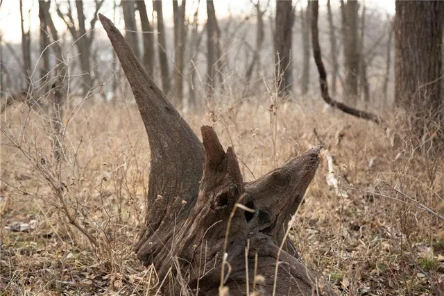 $150,000 | 705 Northeast Noeleen Lane, Lee's Summit, MO 64086