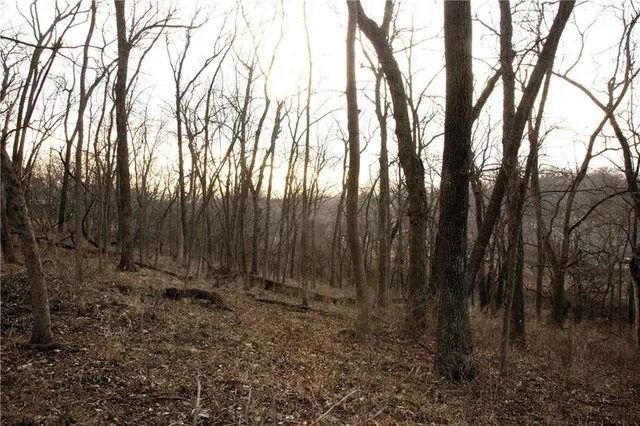 $150,000 | 705 Northeast Noeleen Lane, Lee's Summit, MO 64086