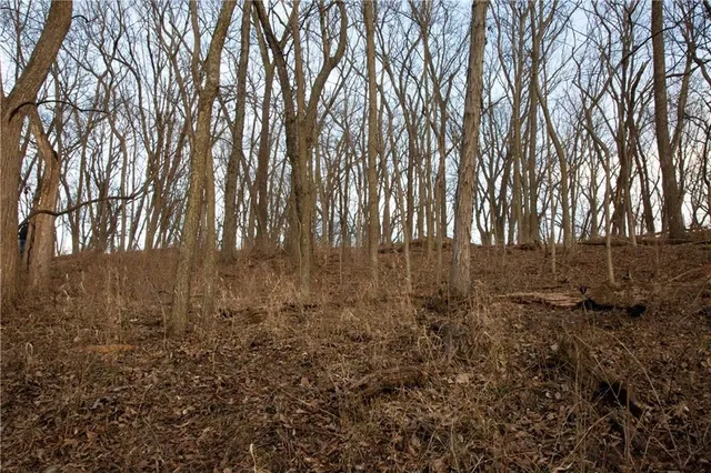 $150,000 | 705 Northeast Noeleen Lane, Lee's Summit, MO 64086