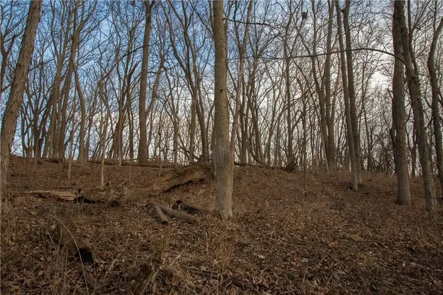 $150,000 | 705 Northeast Noeleen Lane, Lee's Summit, MO 64086