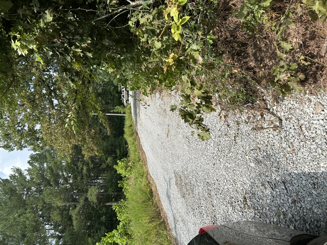 13303 Hummingbird Road Elkins, AR 72727 - Photo 24 of 24 Gravel driveway bordered by mature landscaping and established tree line, providing private access through tree-canopied grounds with natural vegetation and utility infrastructure visible