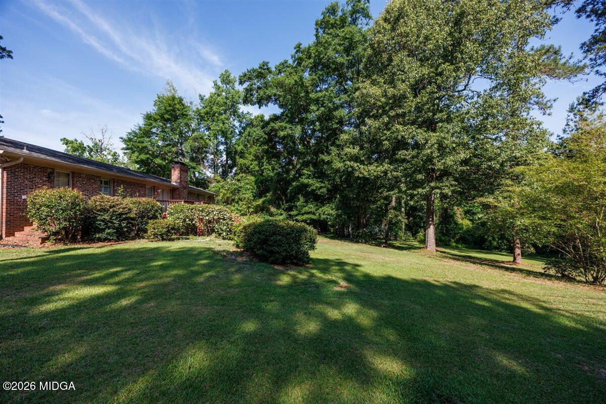 335 Hamrick Road Macon, GA 31220 - Photo 38 of 41 a view of a big yard with plants and large trees