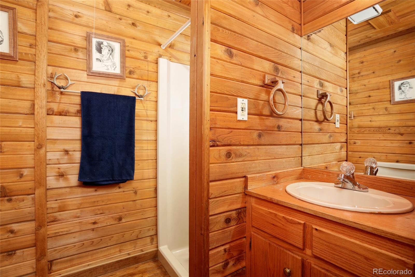 6718 South Columbine Road Evergreen, CO 80439 - Photo 10 of 31