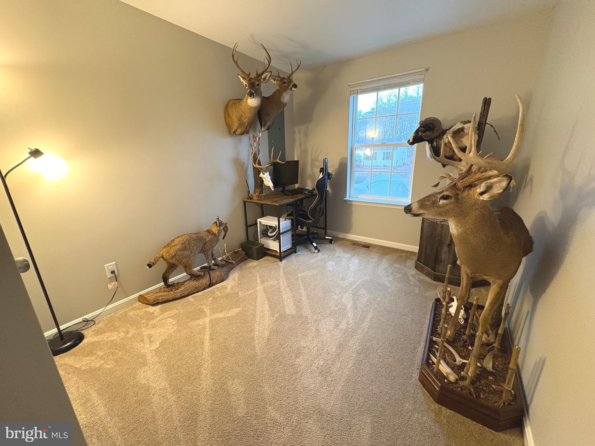 148 East Step Road Chestertown, MD 21620 - Photo 37 of 46 a view of a room with gym equipment