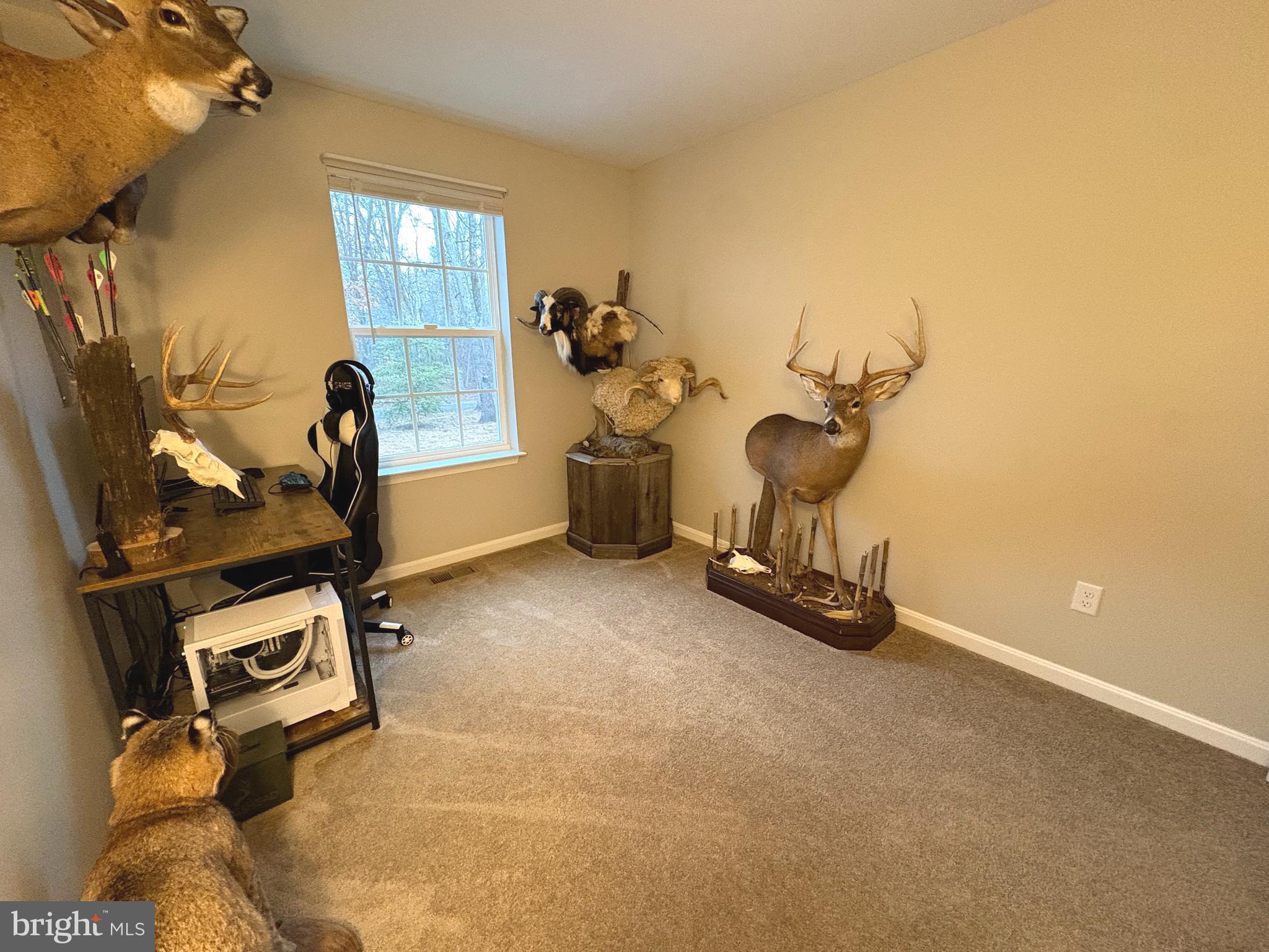 148 East Step Road Chestertown, MD 21620 - Photo 38 of 46 a view of a room with gym equipment