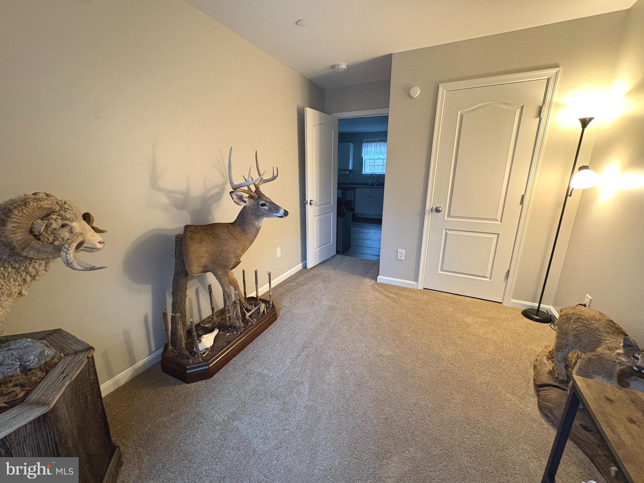 148 East Step Road Chestertown, MD 21620 - Photo 39 of 46 a view of an front door