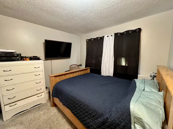 $230,000 | 715-717 North Bradley Street, Mount Pleasant, MI 48858