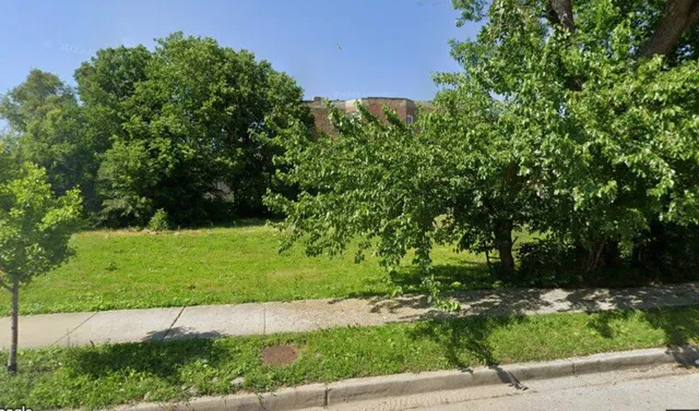a view of a park with large trees