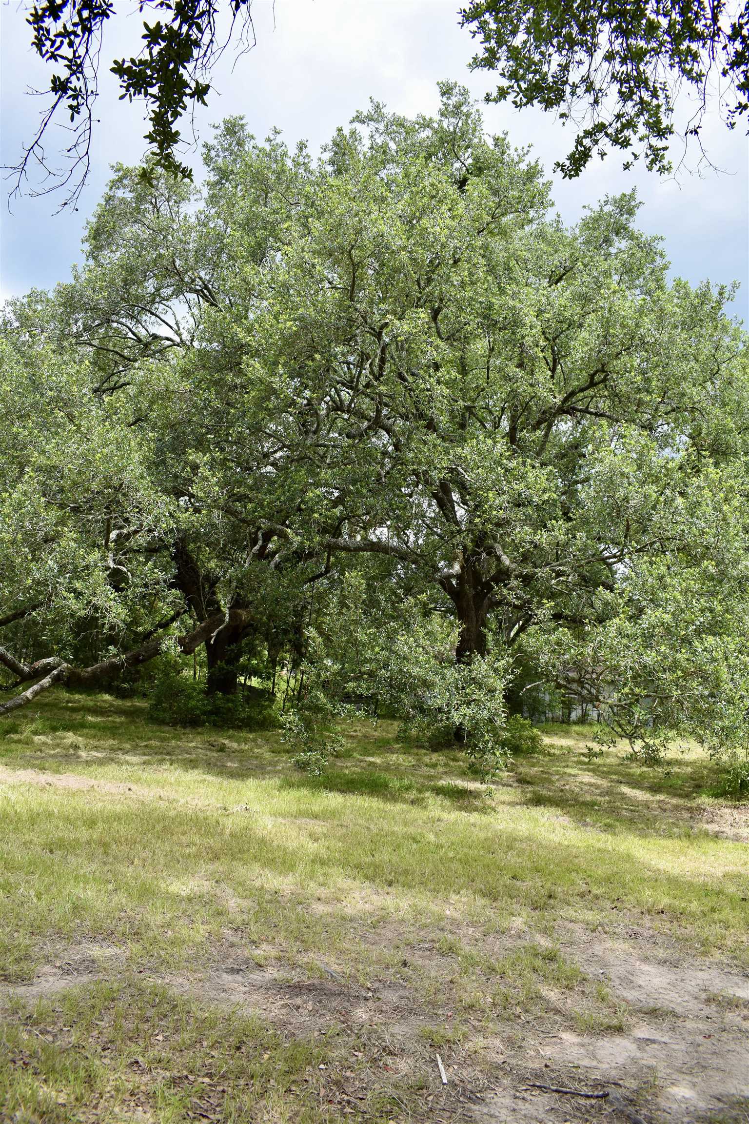 325 Goss Road Orange, TX 77632 - Photo 20 of 32