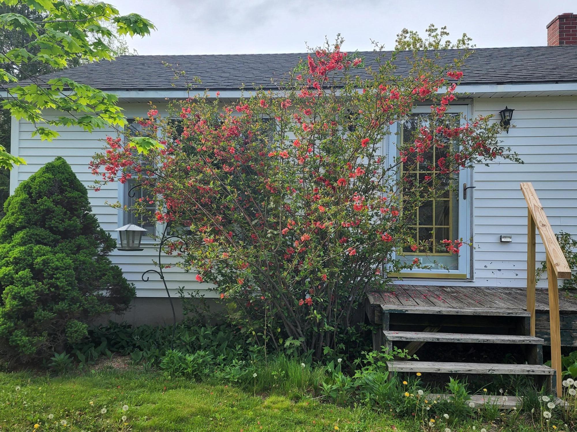 605 Wilson Pond Road North Monmouth, ME 04265 - Photo 39 of 75 20220516_165316