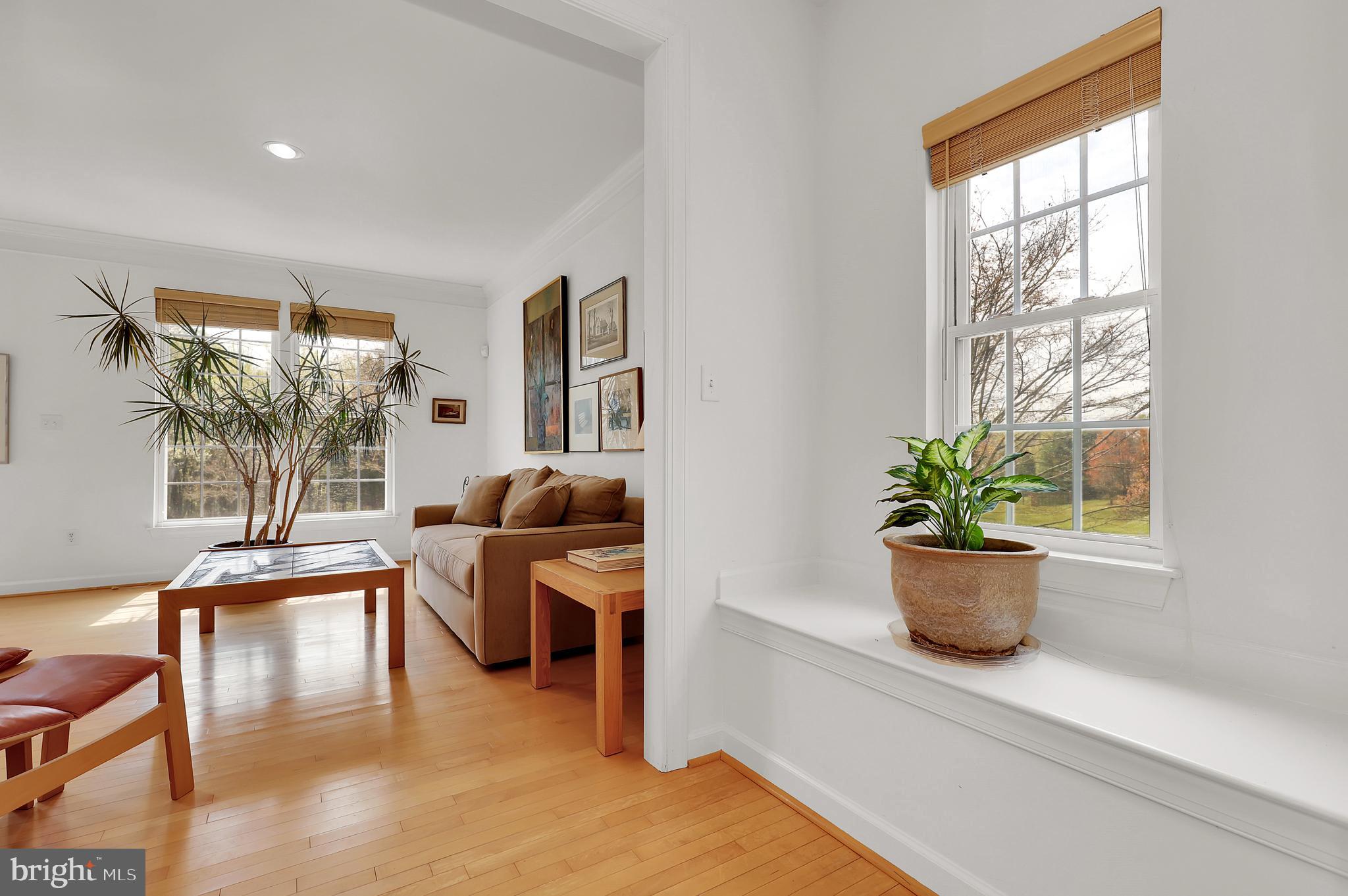 3006 Novak Terrace Burtonsville, MD 20866 - Photo 15 of 71 a living room with furniture and a potted plant