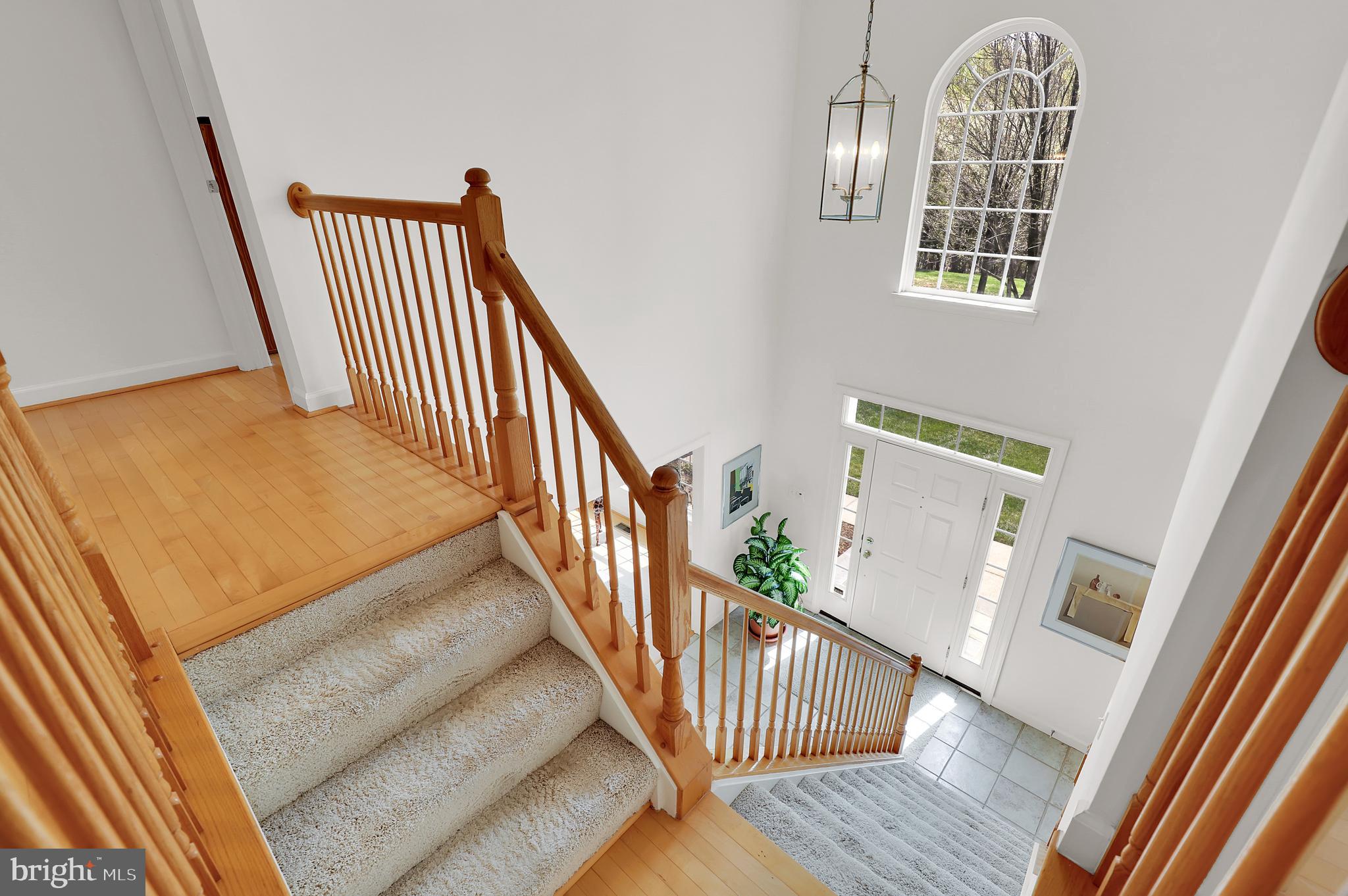 3006 Novak Terrace Burtonsville, MD 20866 - Photo 19 of 71 a view of an entryway with wooden floor