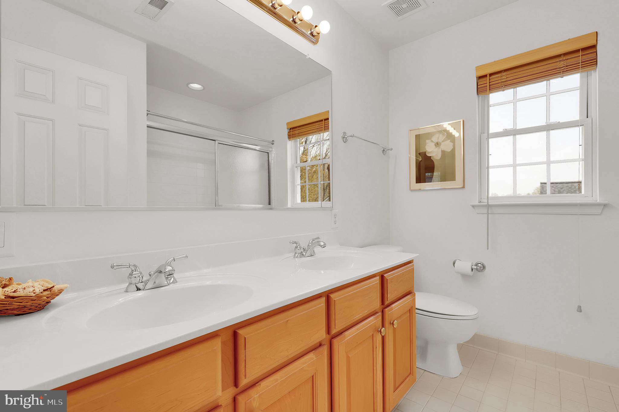 3006 Novak Terrace Burtonsville, MD 20866 - Photo 20 of 71 a bathroom with a sink and a toilet