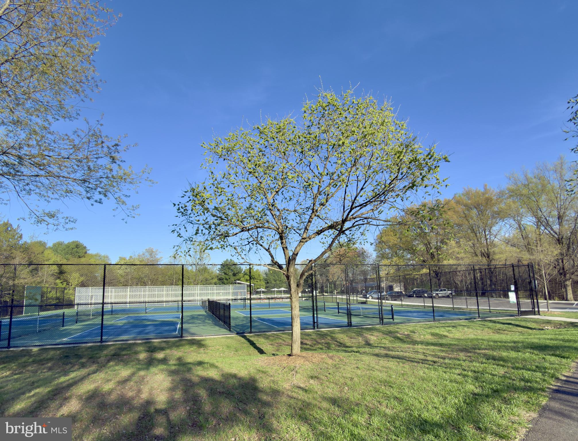 3006 Novak Terrace Burtonsville, MD 20866 - Photo 35 of 71