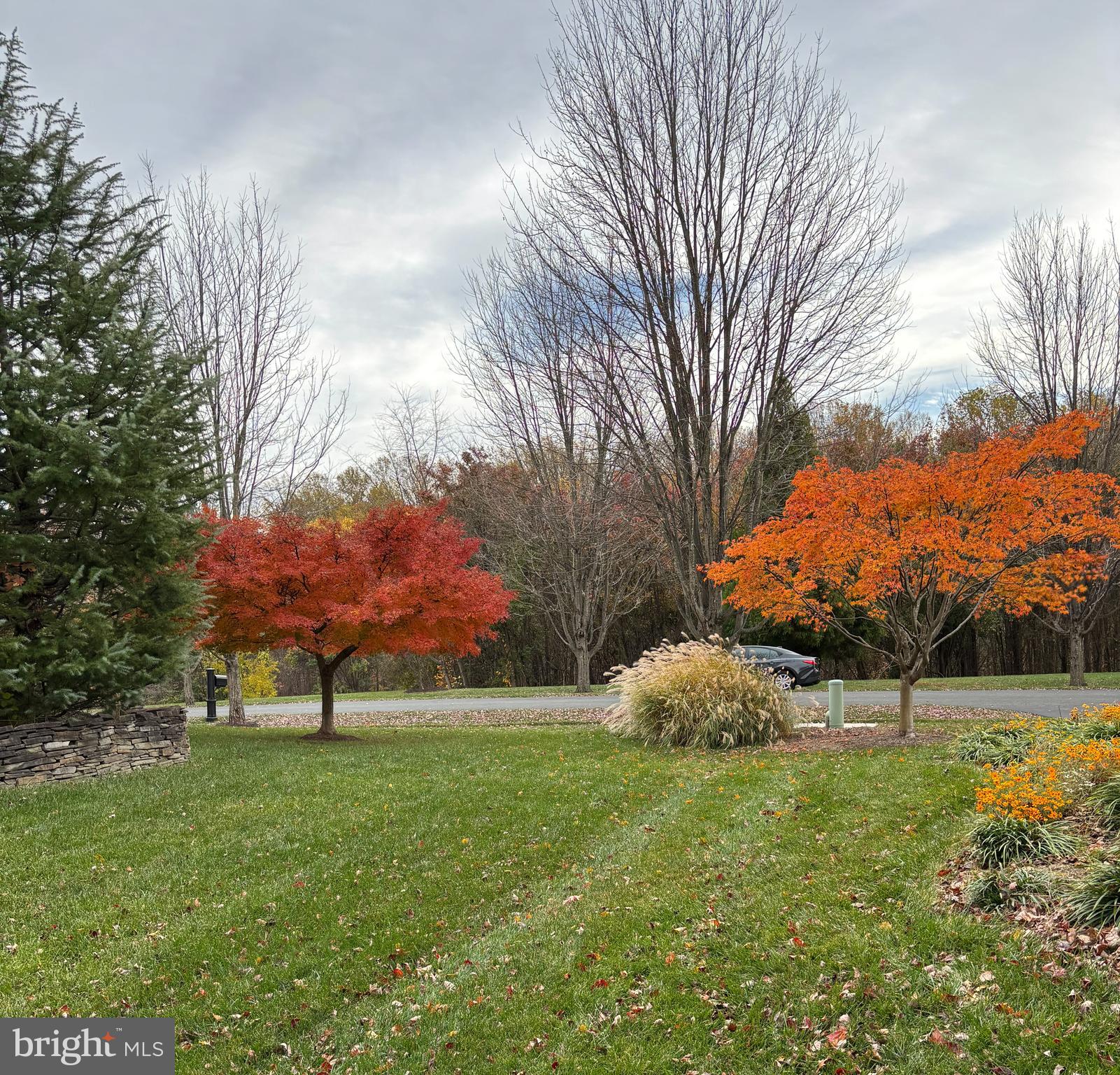 3006 Novak Terrace Burtonsville, MD 20866 - Photo 38 of 71 a backyard of a house with lots of green space