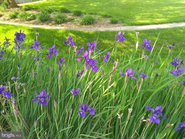 $925,000 | 3006 Novak Terrace, Burtonsville, MD 20866