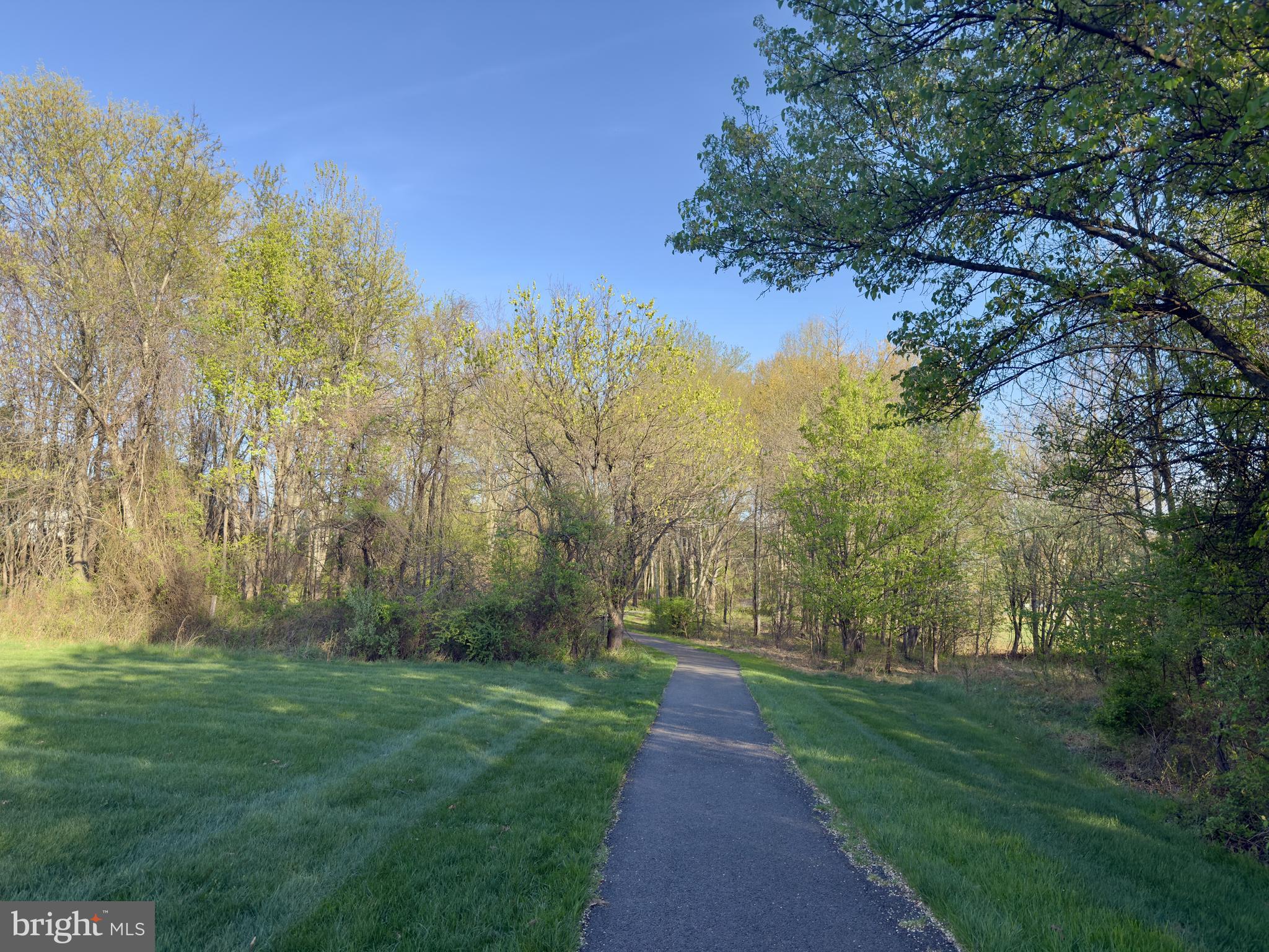 3006 Novak Terrace Burtonsville, MD 20866 - Photo 43 of 71